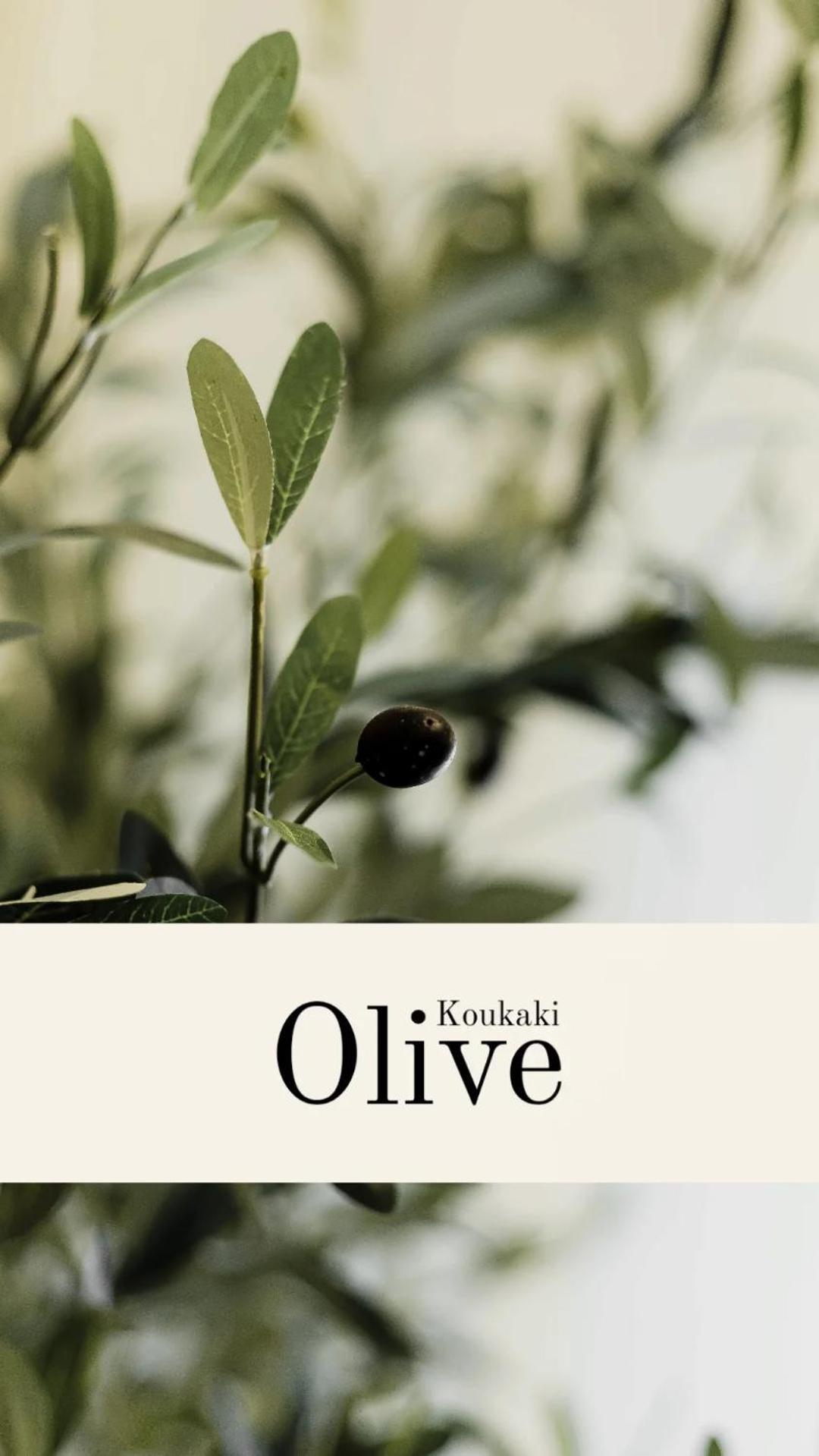 شقة Olive Koukaki أثينا المظهر الخارجي الصورة